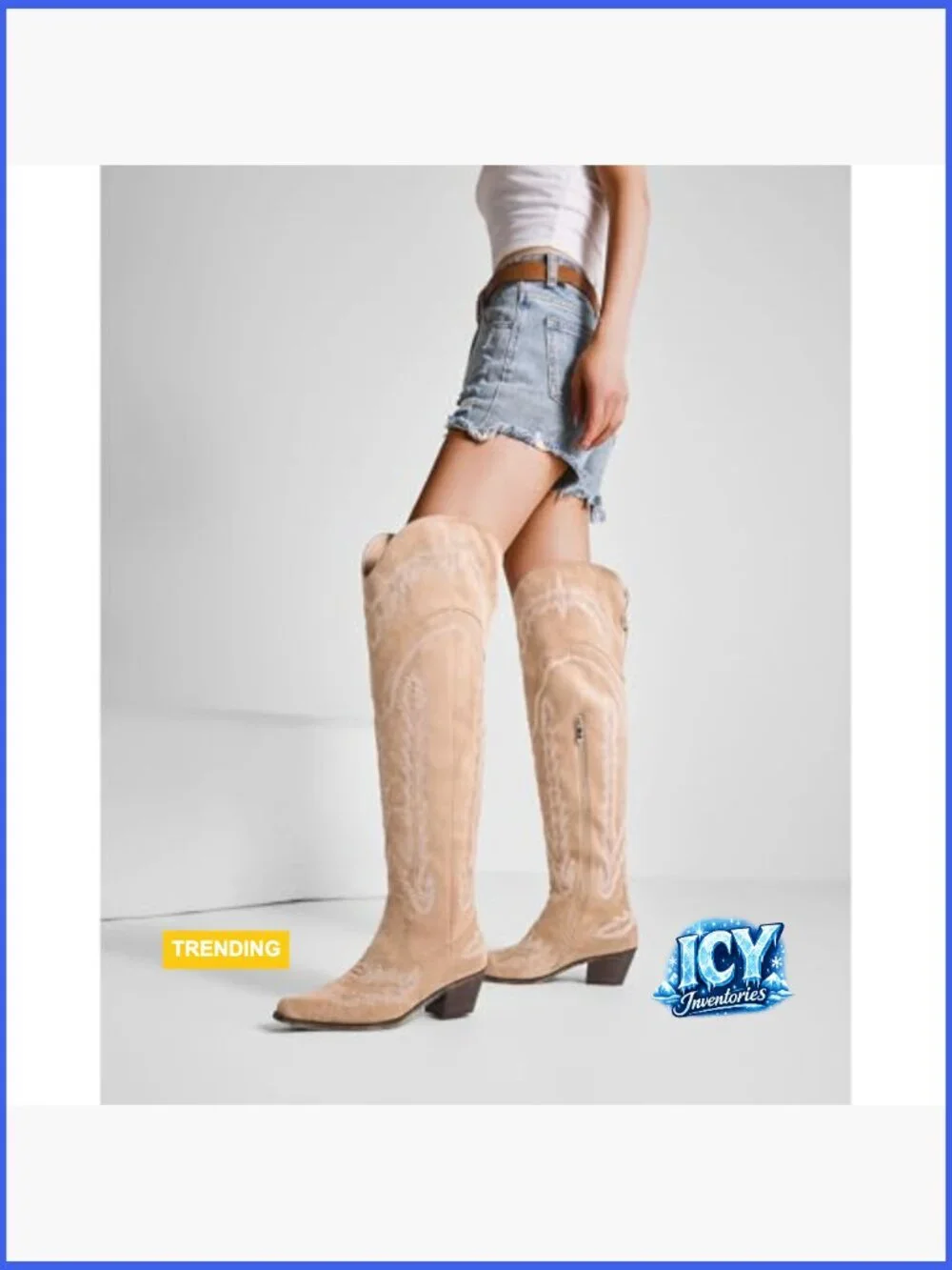 Over the Knee Embroidered Cowboy Boots Chunky Heel Suede Side Zip